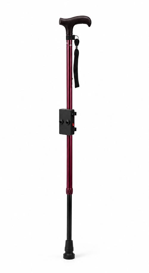 Projects smart stick 1
